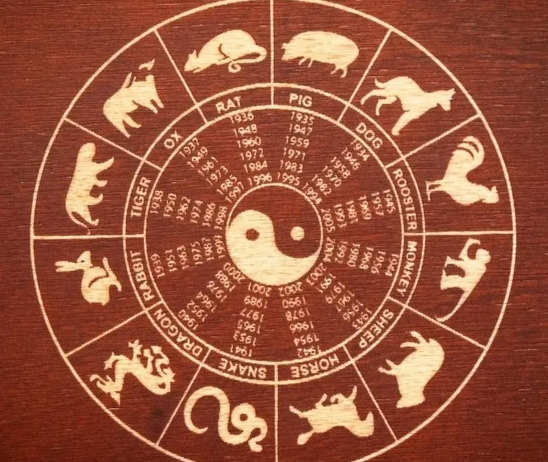 Year of the Rabbit: Chinese Zodiac Sign Predictions For 2023